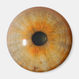 hazel eye with freckles magnet