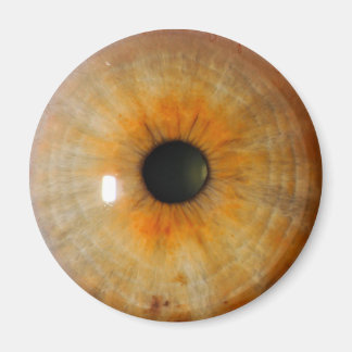 hazel eye with freckles magnet