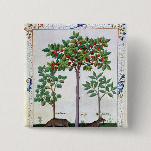Hazelnut Bush  and Cherry tree 15 Cm Square Badge