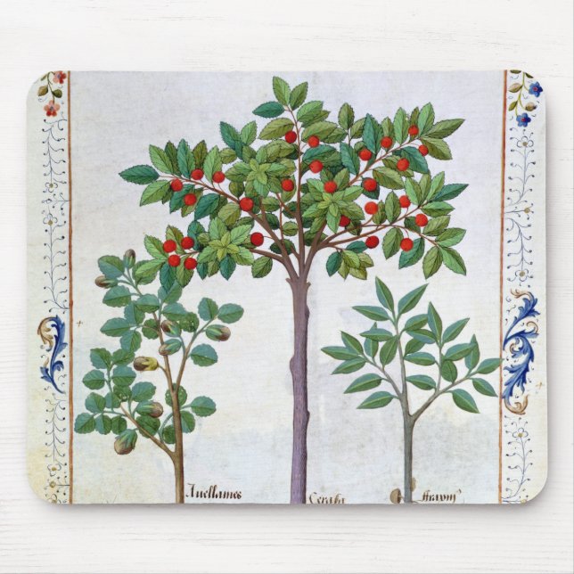 Hazelnut Bush  and Cherry tree Mouse Pad (Front)