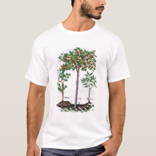 Hazelnut Bush  and Cherry tree T-Shirt