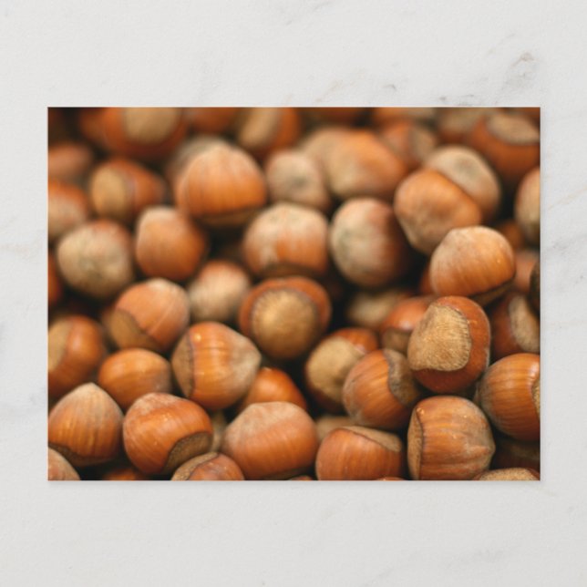 Hazelnuts Galore Postcard (Front)