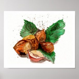 Hazelnuts Watercolor Poster
