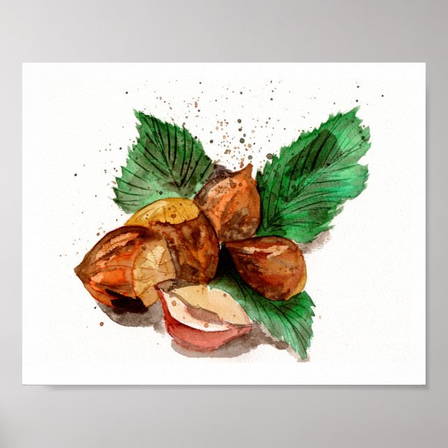 Hazelnuts Watercolor Poster (Front)