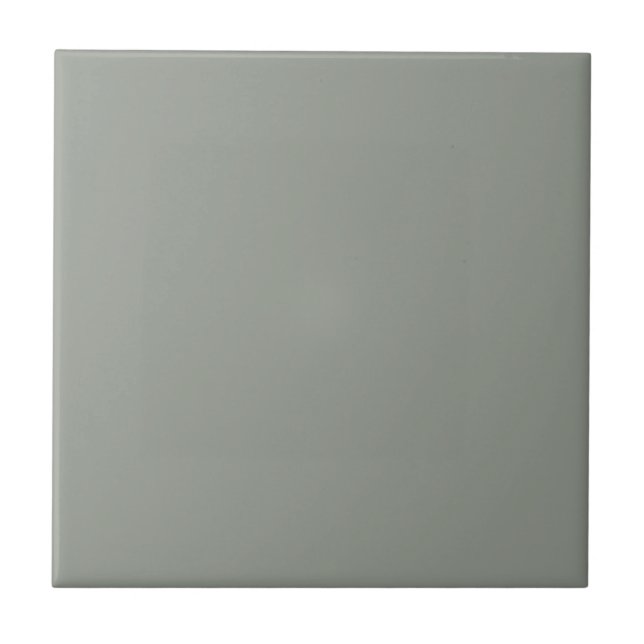 Hazy Acacia Green Square Kitchen and Bathroom  Ceramic Tile (Front)