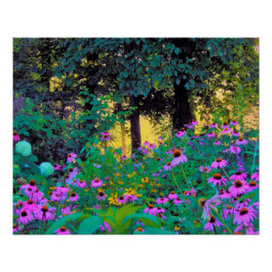 Hazy Morning Sunrise in My Rubio Garden Poster