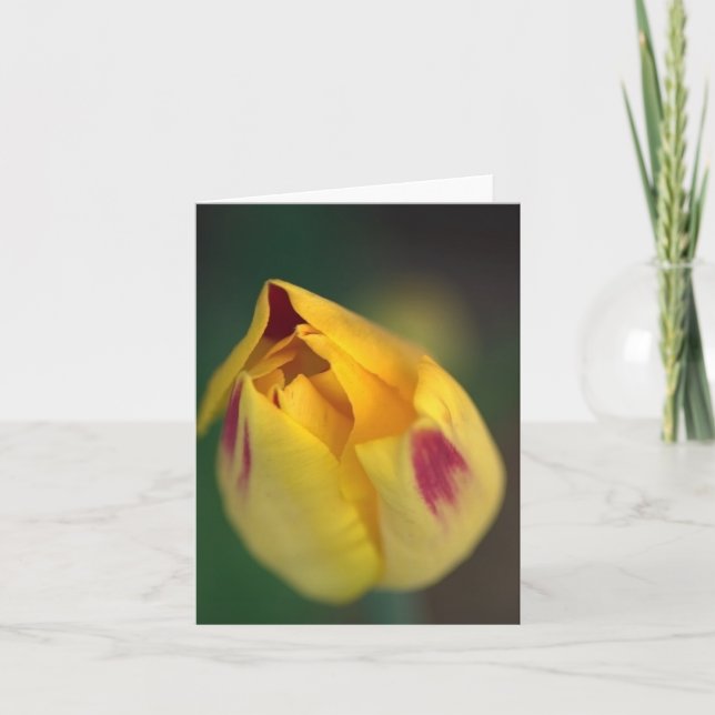 Hazy Yellow Rose Card (Front)