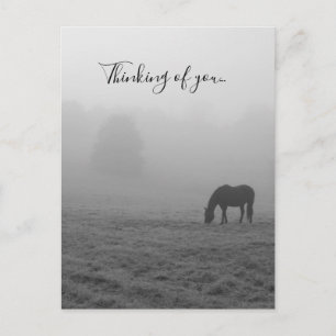 Hazzy Grazing Grayscale Thinking Of You Postcard