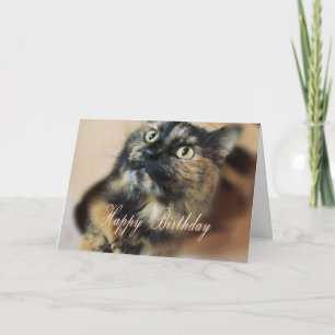 HBD-Tazzie 9055 Card