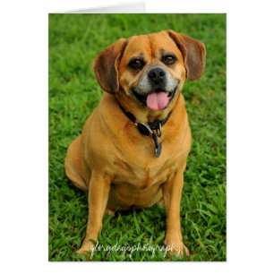 HCD_3984e, glorydaysphotography