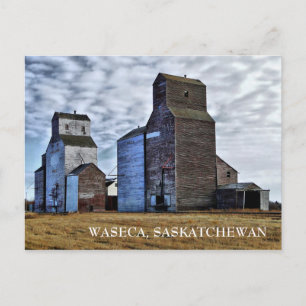 HDR Autumn Prairie Sentinels Travel Postcard