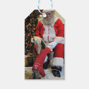 He Doesn't have to Wait any Longer Gift Tags