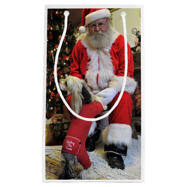 He Doesn't have to Wait any Longer Small Gift Bag (Front)