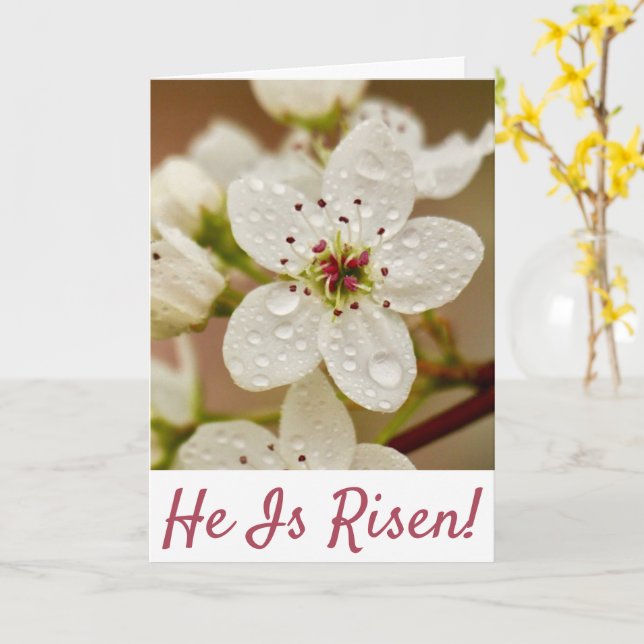 "He Is Risen!" Resurrection Sunday  Card (Yellow Flower)