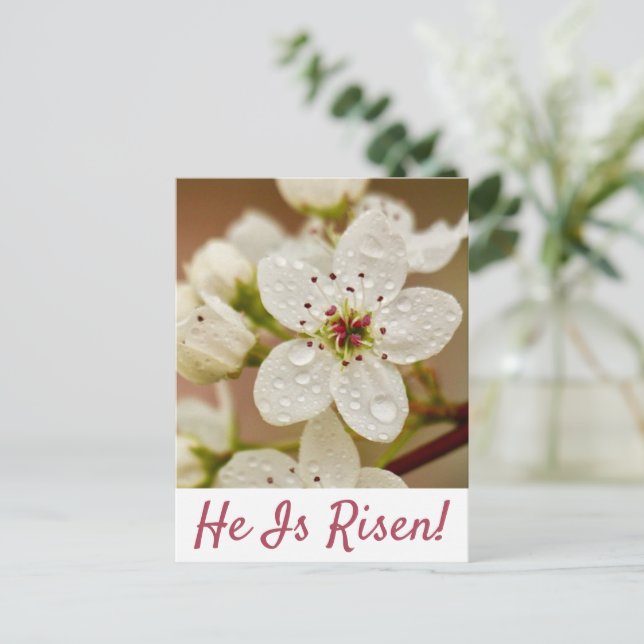 "He Is Risen" Resurrection Sunday Postcard (Standing Front)