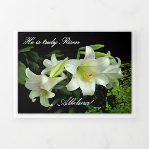 He is Truly Risen Happy Easter with White Lilies Tri-Fold Holiday Card