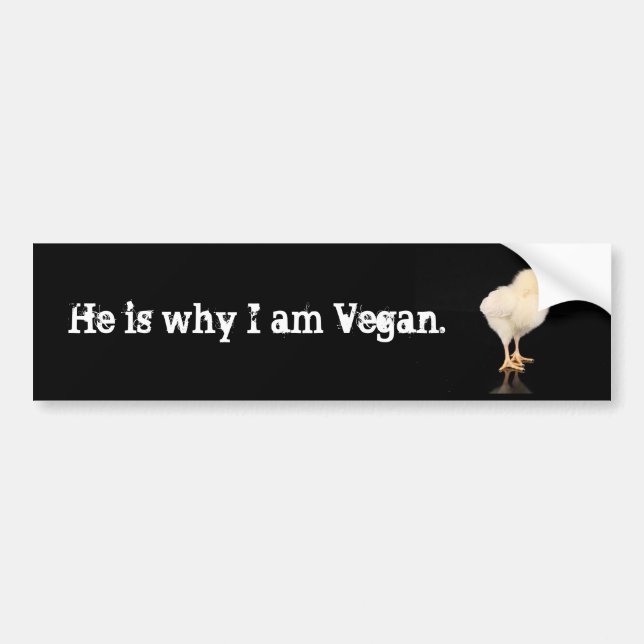he is why I am vegan Bumper Sticker (Front)