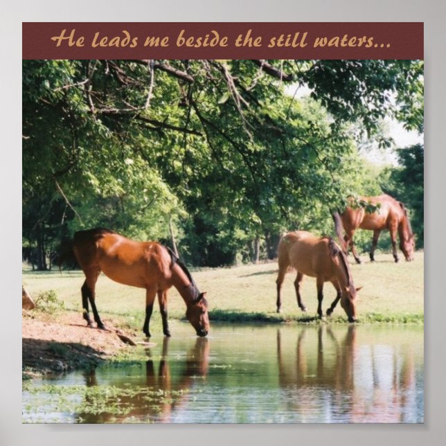 He leads me beside the still waters ... poster (Front)