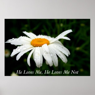 He Loves Me, He Loves Me Not Poster