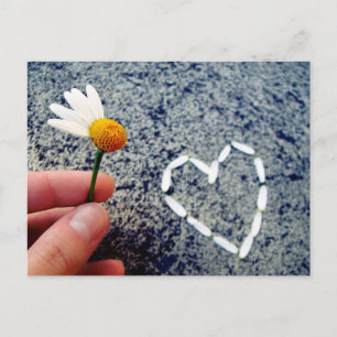 He Loves Me Postcard