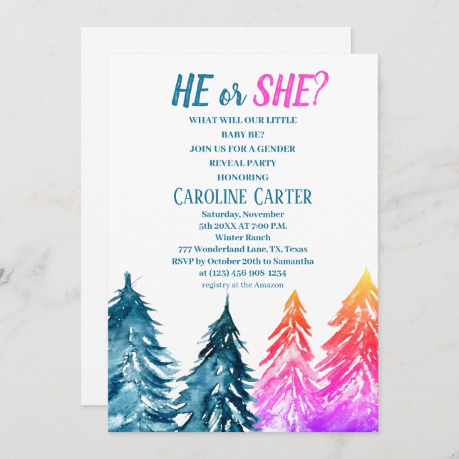 He or She Boy or Girl Winter Baby Shower  Invitation (Front/Back)