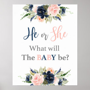 He or She Gender Reveal Poster