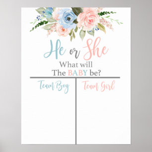 He or She Gender Reveal Poster