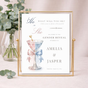 He Or She Pink And Blue Gender Reveal Welcome Poster