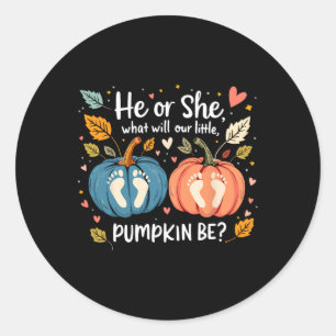 He Or She What Will Our Little Pumpkin Be Autumn B Classic Round Sticker