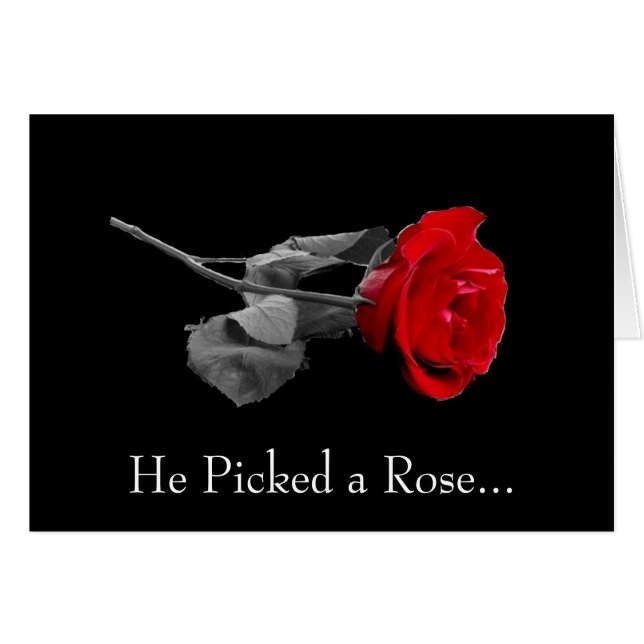 He Picked a Rose... (Front Horizontal)