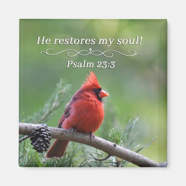 He restores my soul magnet (Front)