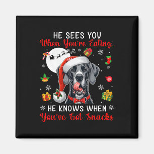 He Sees When You're Eating Snacks Xmas Great Dane Magnet