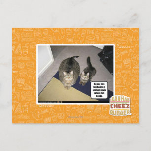 He sez hes big boned. postcard