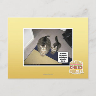 He sez hes big boned. postcard
