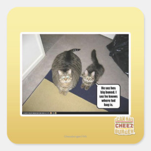 He sez hes big boned. square sticker