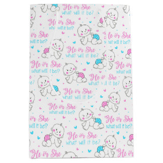 He She New Baby Medium Gift Bag