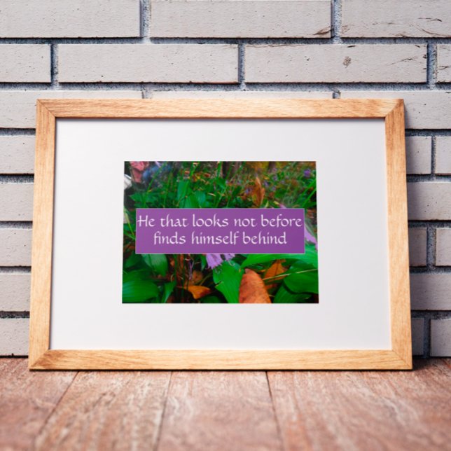 He that looks not before wisdom saying poster (Creator Uploaded)