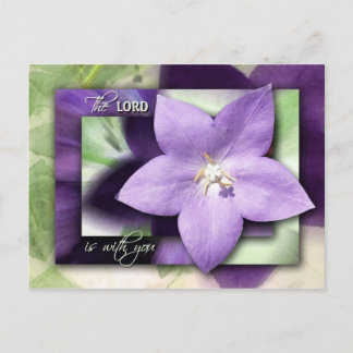 He Will Quiet You with His Love Postcard
