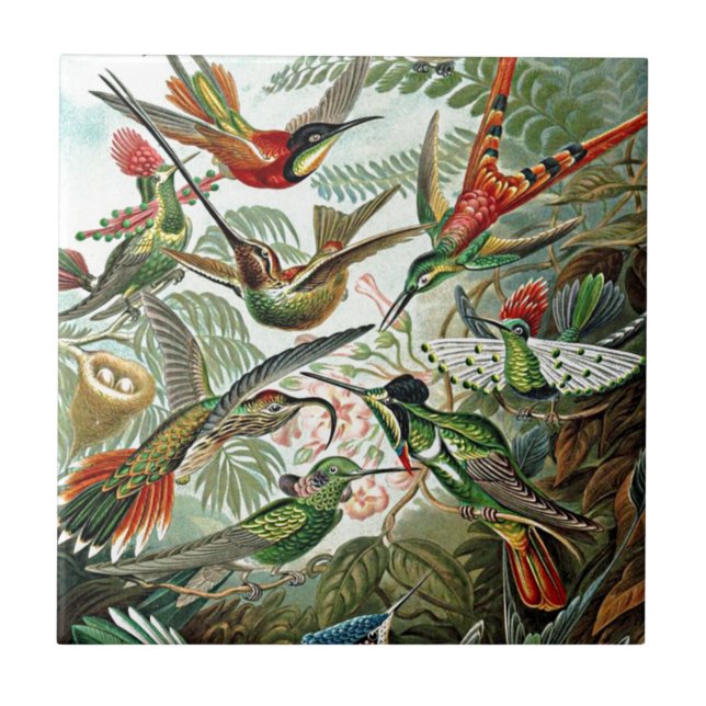 Heackel Nature Art Bird Design Hummingbirds Ceramic Tile (Front)