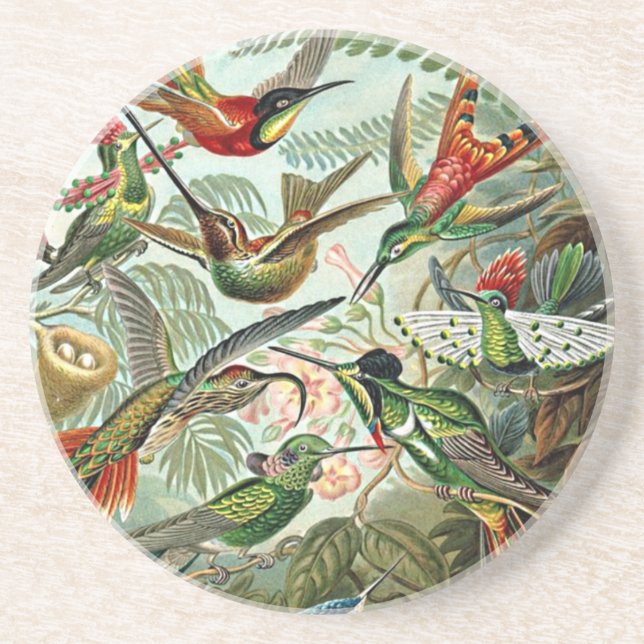 Heackel Nature Art Bird Design Hummingbirds Coaster (Front)