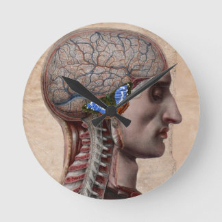 Head Anatomy Clock