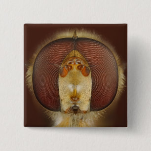 Head and Compound Eyes of a Hover Fly 15 Cm Square Badge