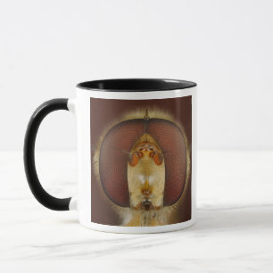 Head and Compound Eyes of a Hover Fly Mug