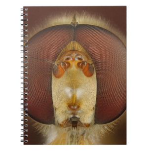 Head and Compound Eyes of a Hover Fly Notebook