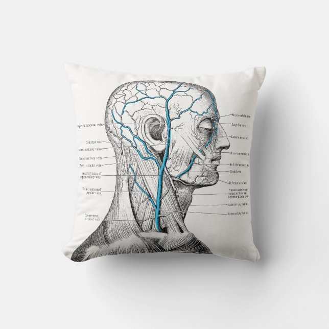 Head and veins - anatomy cushion (Front)