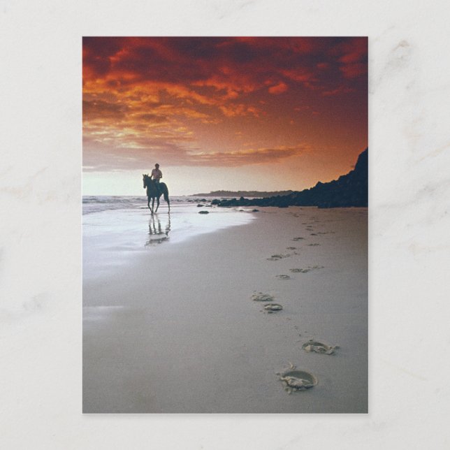 Head For Home Postcard (Front)