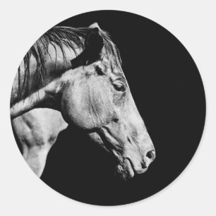 head horse's leg classic round sticker