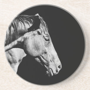 head horse's leg coaster