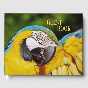 Head of a Blue and Yellow Macaw  Guest Book