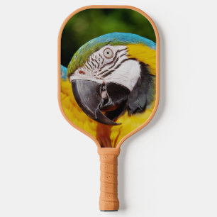 Head of a Blue and Yellow Macaw Pickleball Paddle
